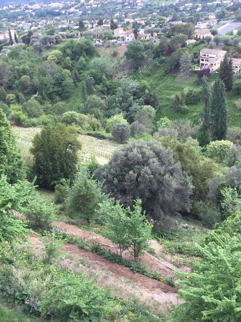 Les différents niveaux d'une forêt